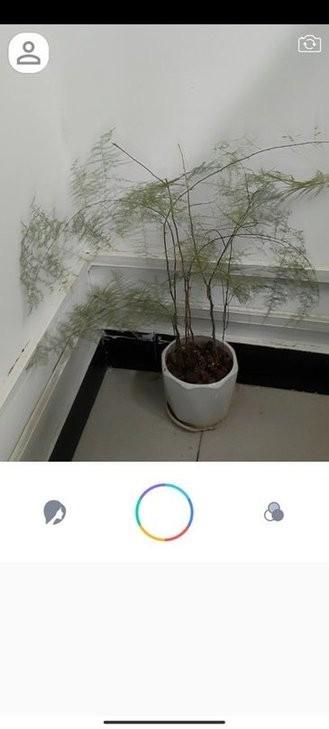 惊鸿相机app手机版下载,惊鸿相机,相机app